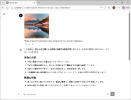 ChatWalaʻau analyzing an image in chat